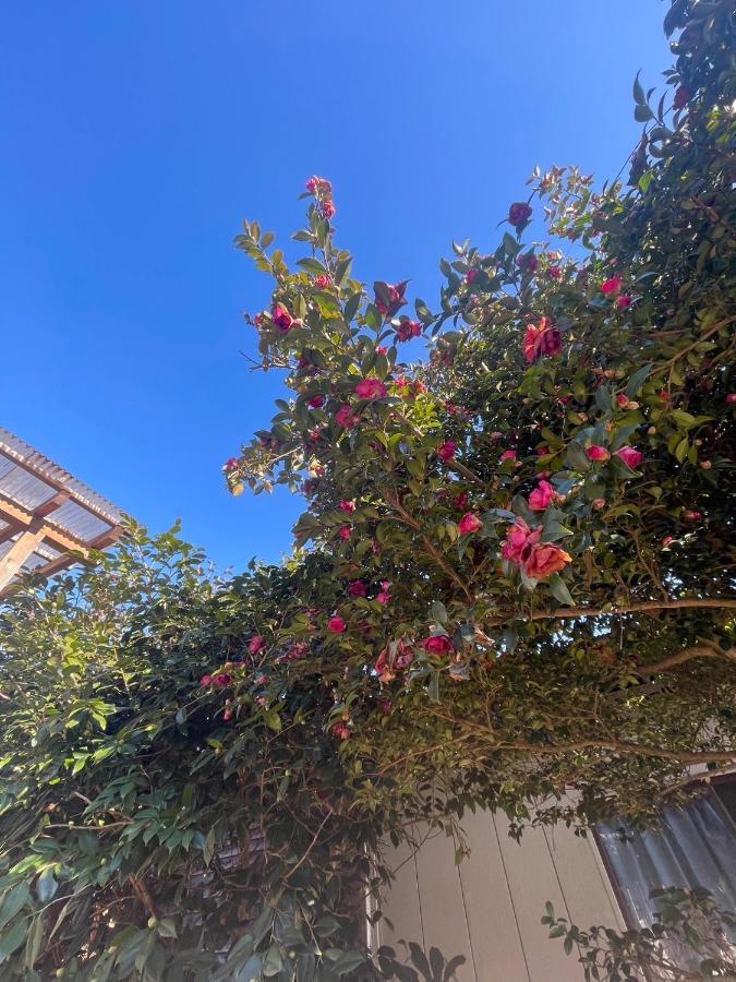 לינה וארוחת בוקר Morino Garden Mashiko מראה חיצוני תמונה